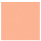 Monochrome - Apricot Scarf